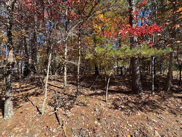 Lot 72 Gap Bridge RD - Photo 3