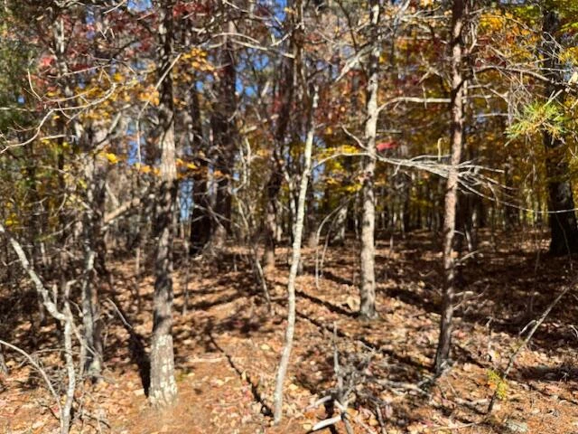 Lot 72 Gap Bridge RD - Photo 4