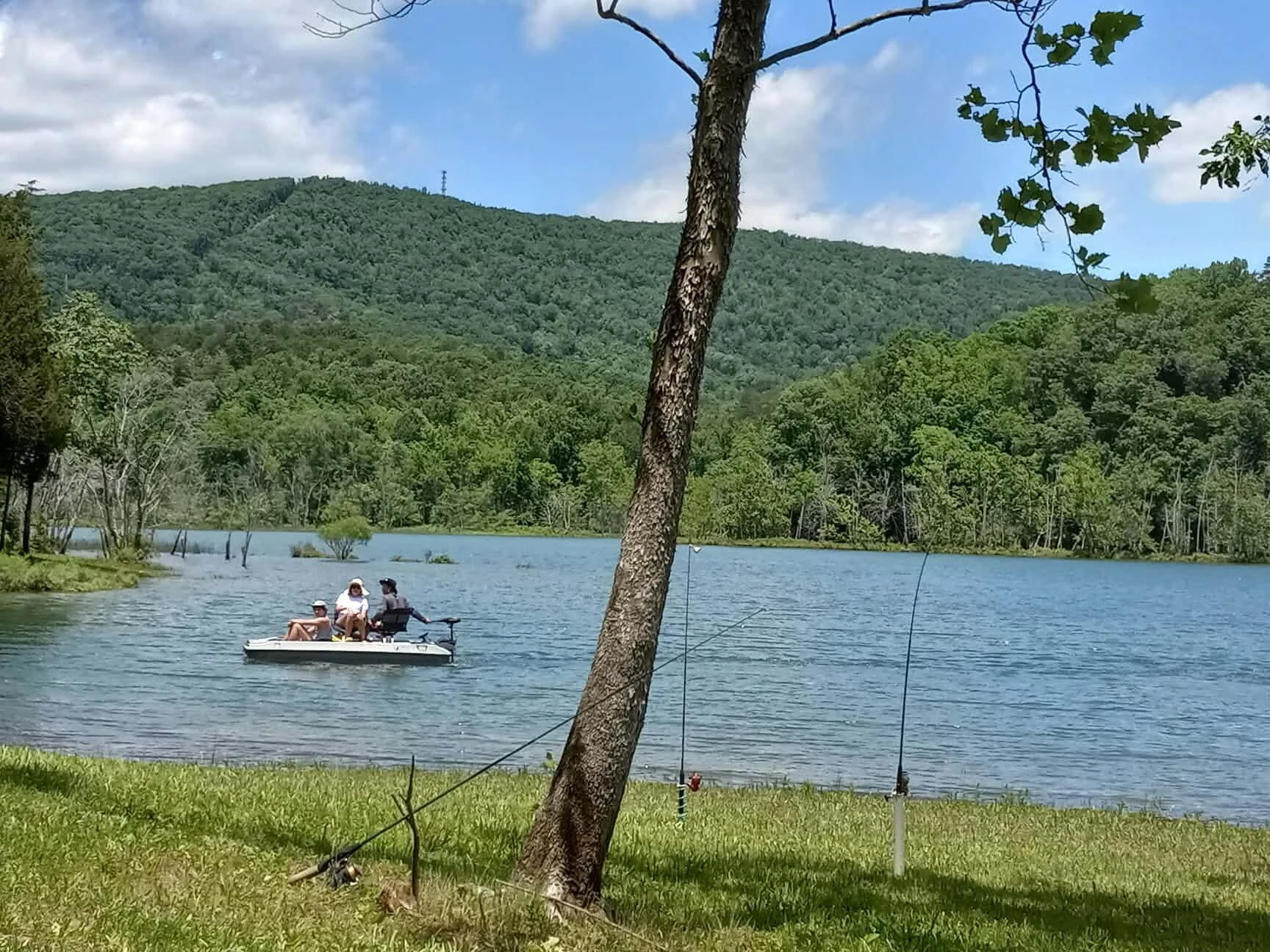507 Faith Cove DR - Photo 2