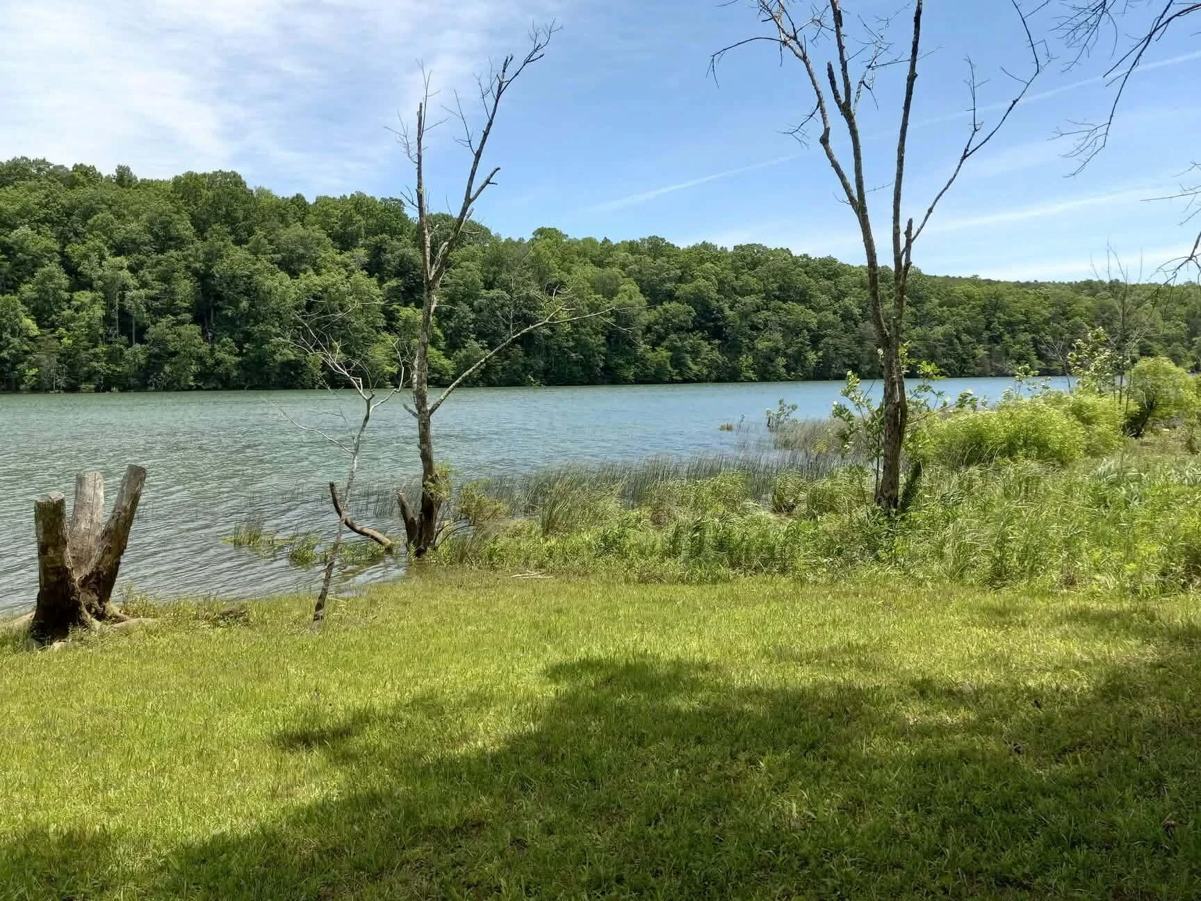 507 Faith Cove DR - Photo 3