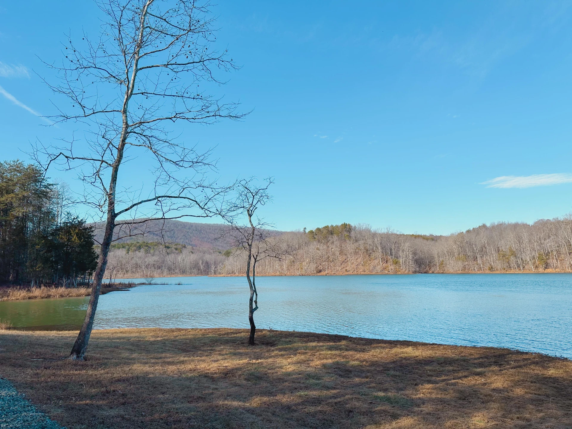 507 Faith Cove DR - Photo 43