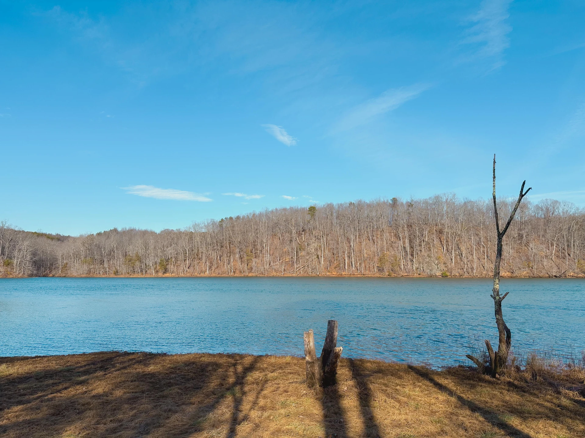 507 Faith Cove DR - Photo 44