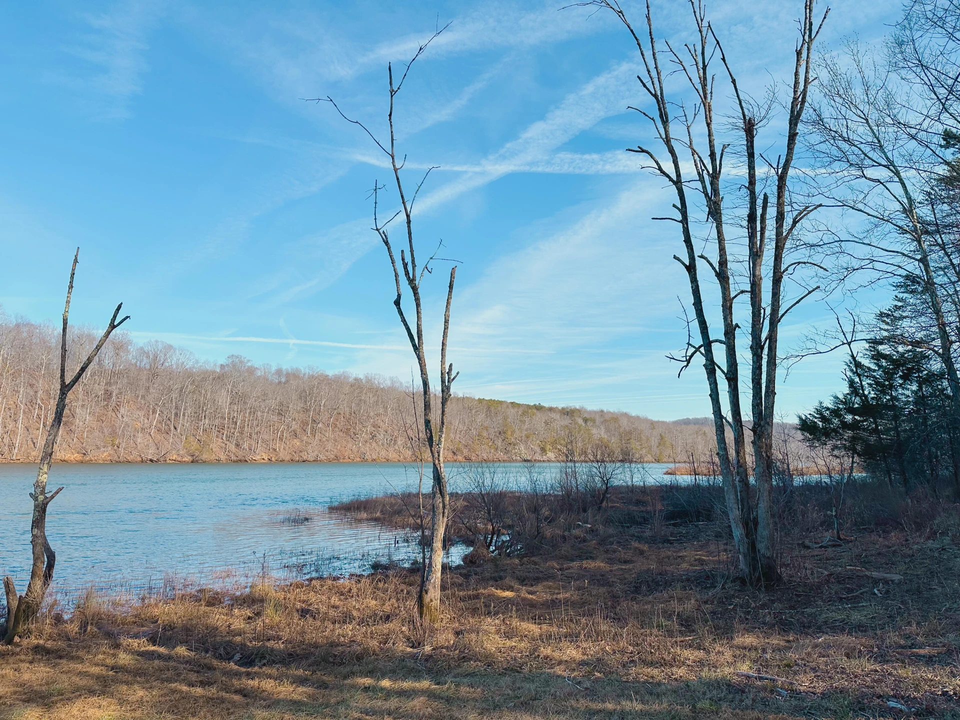 507 Faith Cove DR - Photo 45