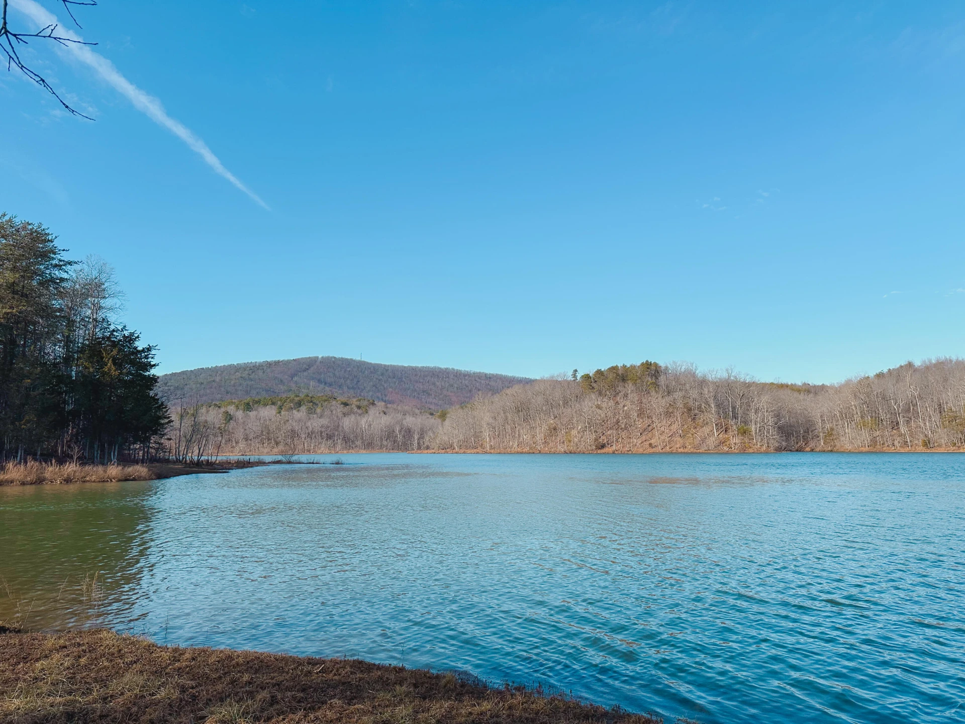 507 Faith Cove DR - Photo 48