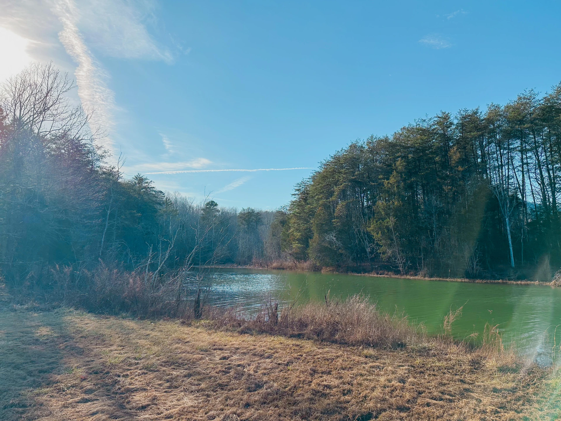 507 Faith Cove DR - Photo 50