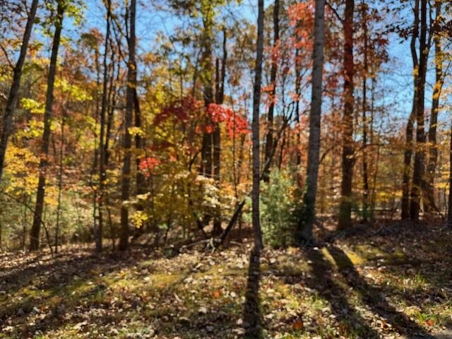 Lot 48 Gap Bridge RD