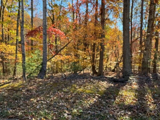 Lot 48 Gap Bridge RD - Photo 10