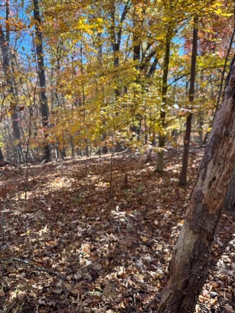 Lot 48 Gap Bridge RD - Photo 11