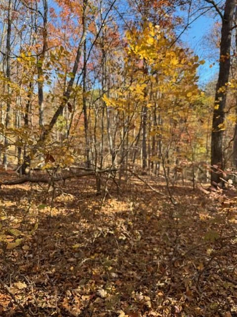 Lot 48 Gap Bridge RD - Photo 12