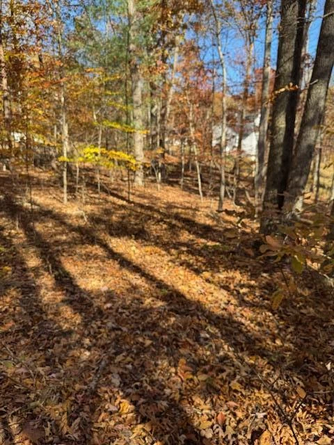 Lot 48 Gap Bridge RD - Photo 13