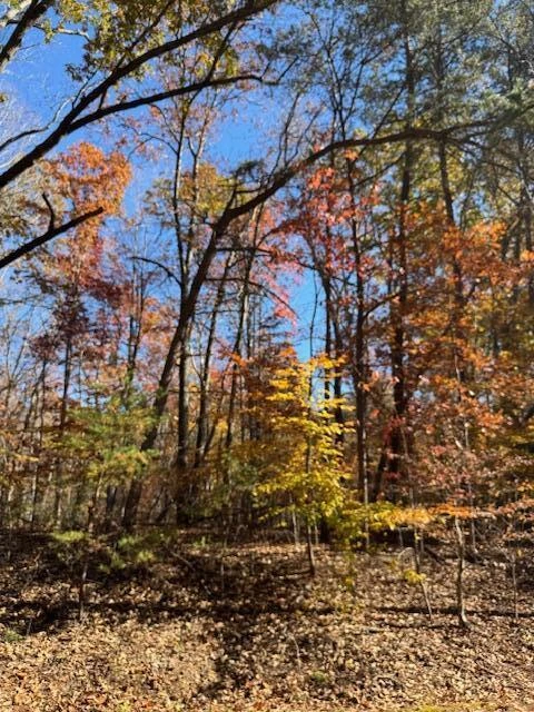 Lot 48 Gap Bridge RD - Photo 15