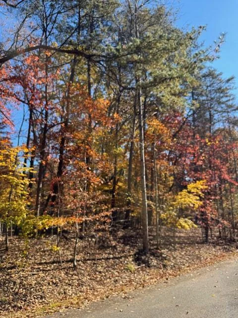 Lot 48 Gap Bridge RD - Photo 16
