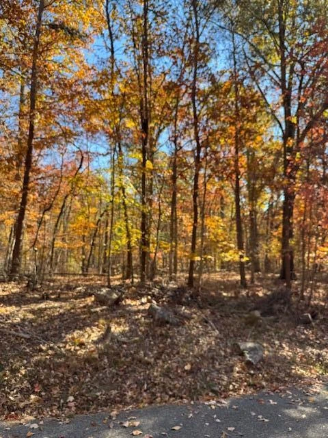 Lot 48 Gap Bridge RD - Photo 17