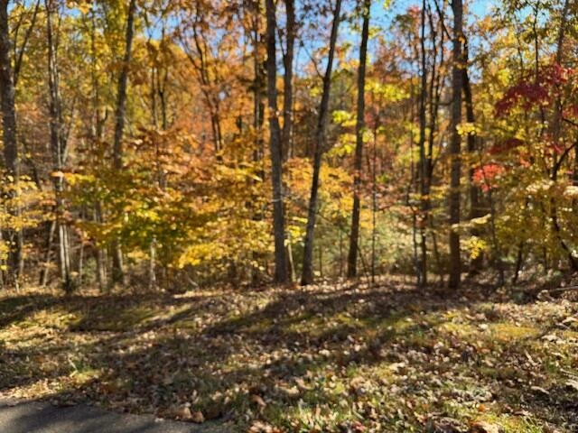 Lot 48 Gap Bridge RD - Photo 8