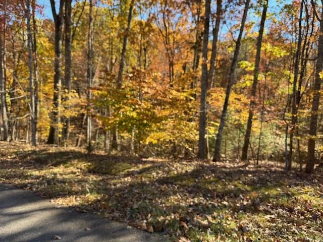 Lot 48 Gap Bridge RD - Photo 9