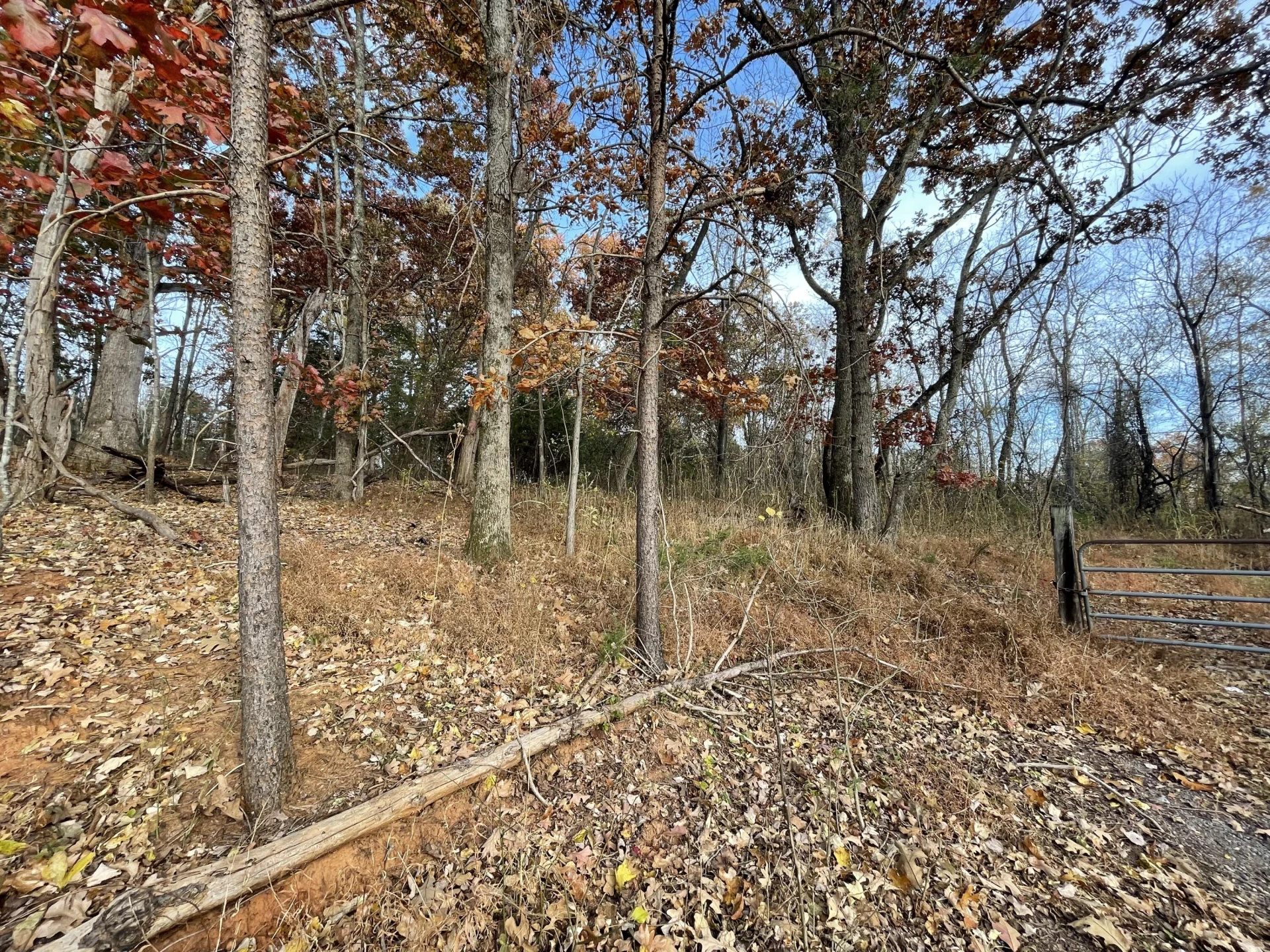 0 Five Forks RD - Photo 11