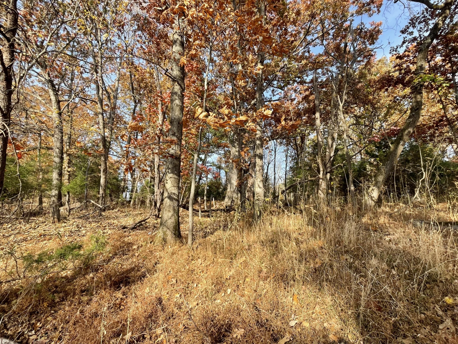 0 Five Forks RD - Photo 3