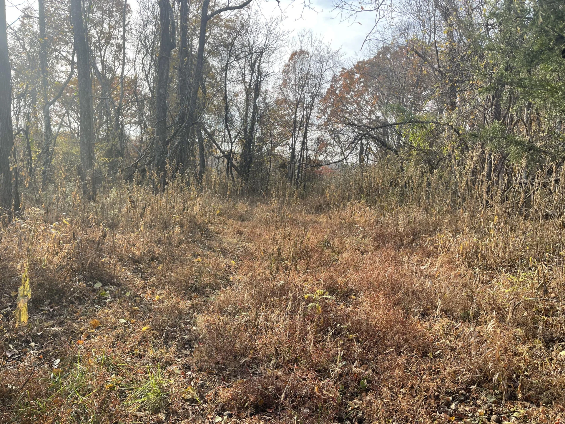 0 Five Forks RD - Photo 4