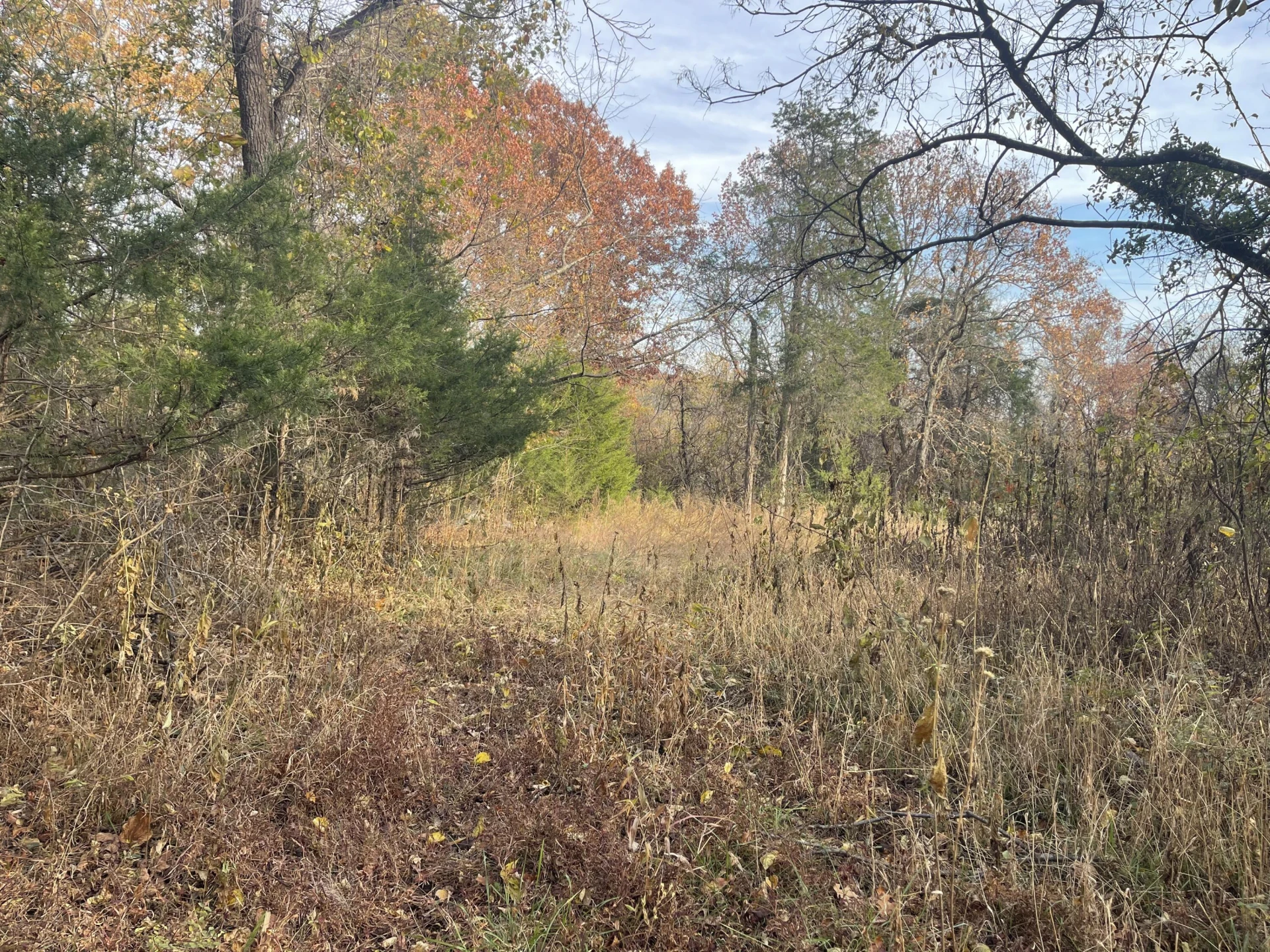 0 Five Forks RD - Photo 5