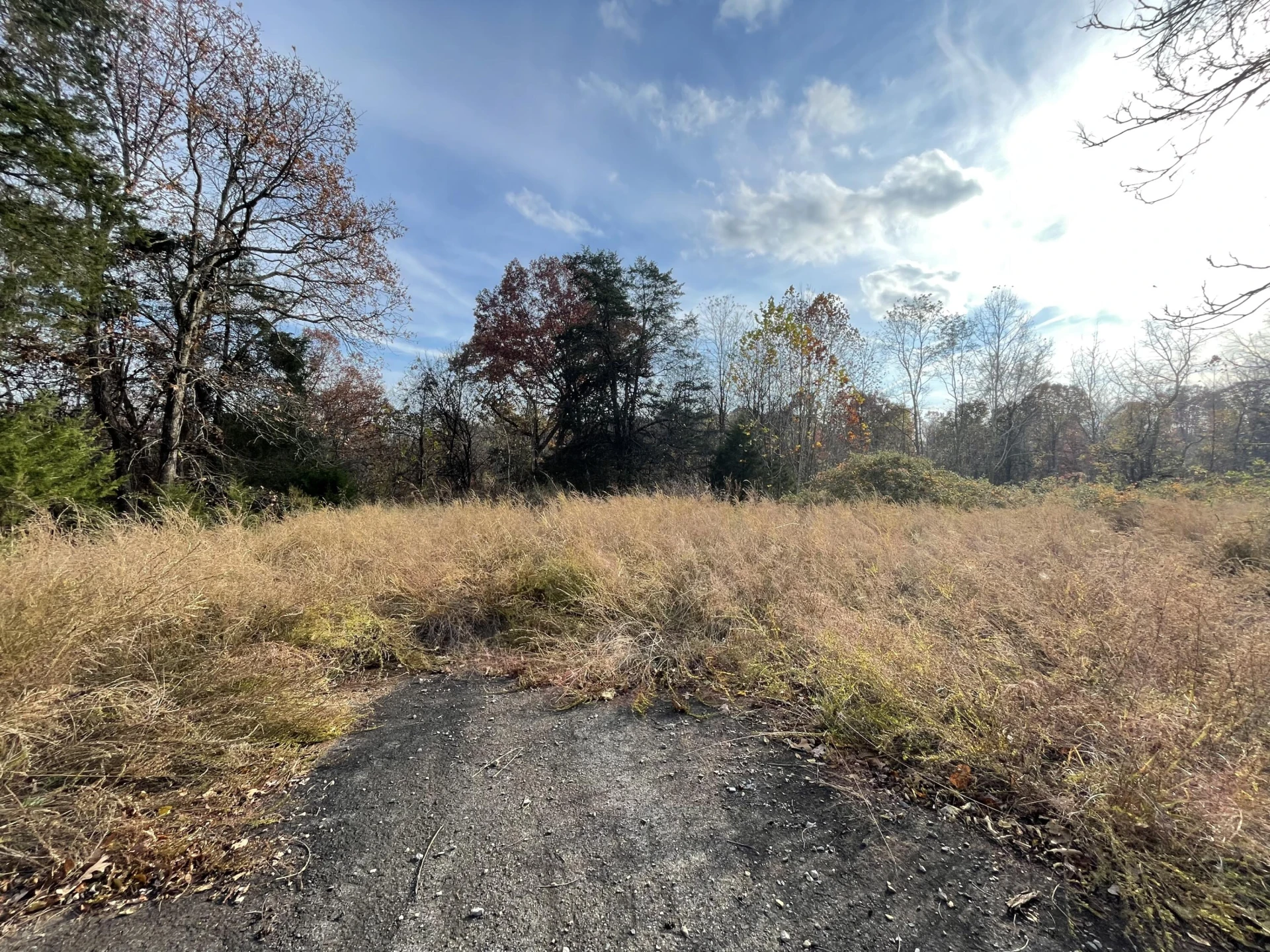 0 Five Forks RD - Photo 7