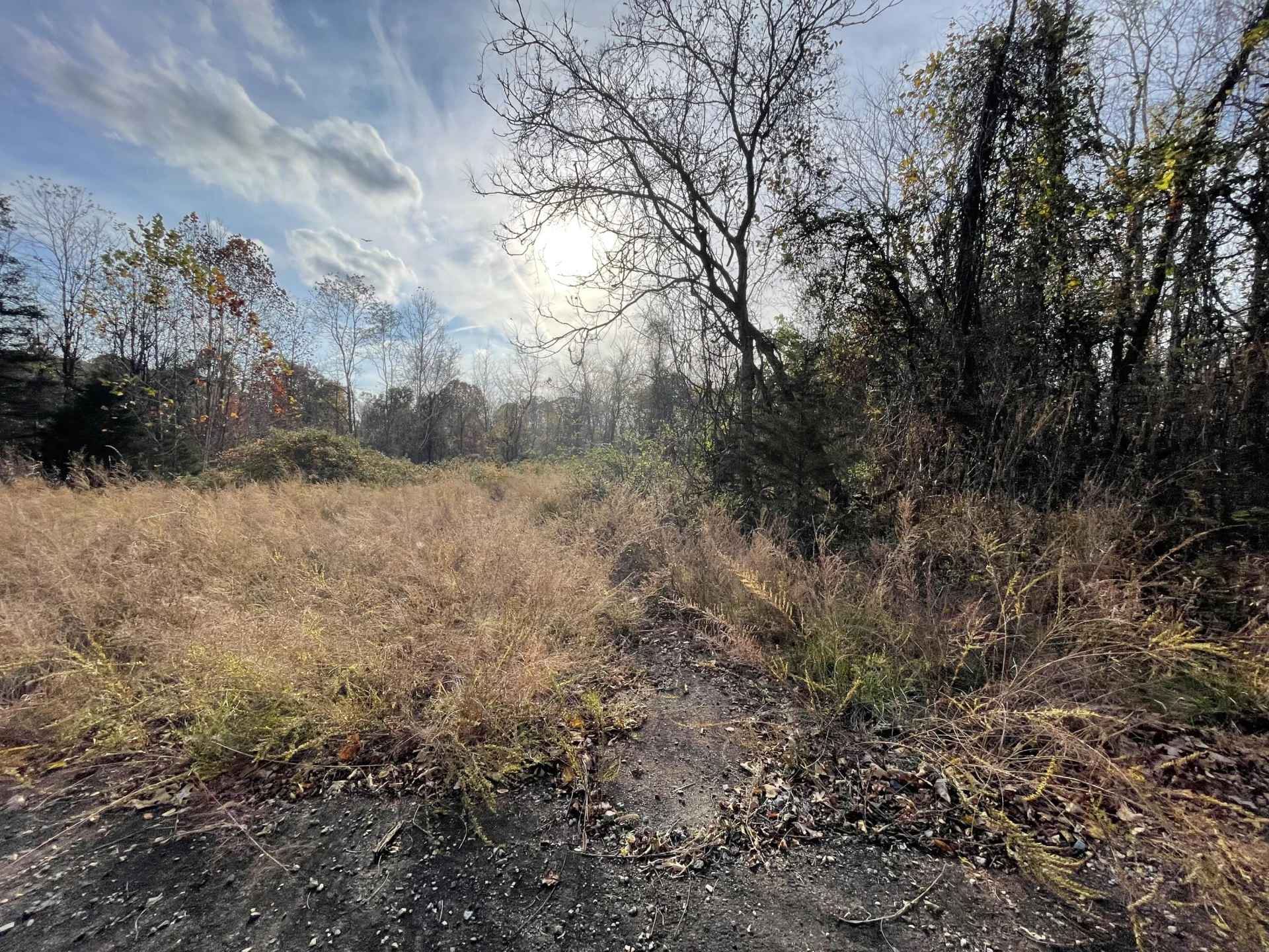 0 Five Forks RD - Photo 8