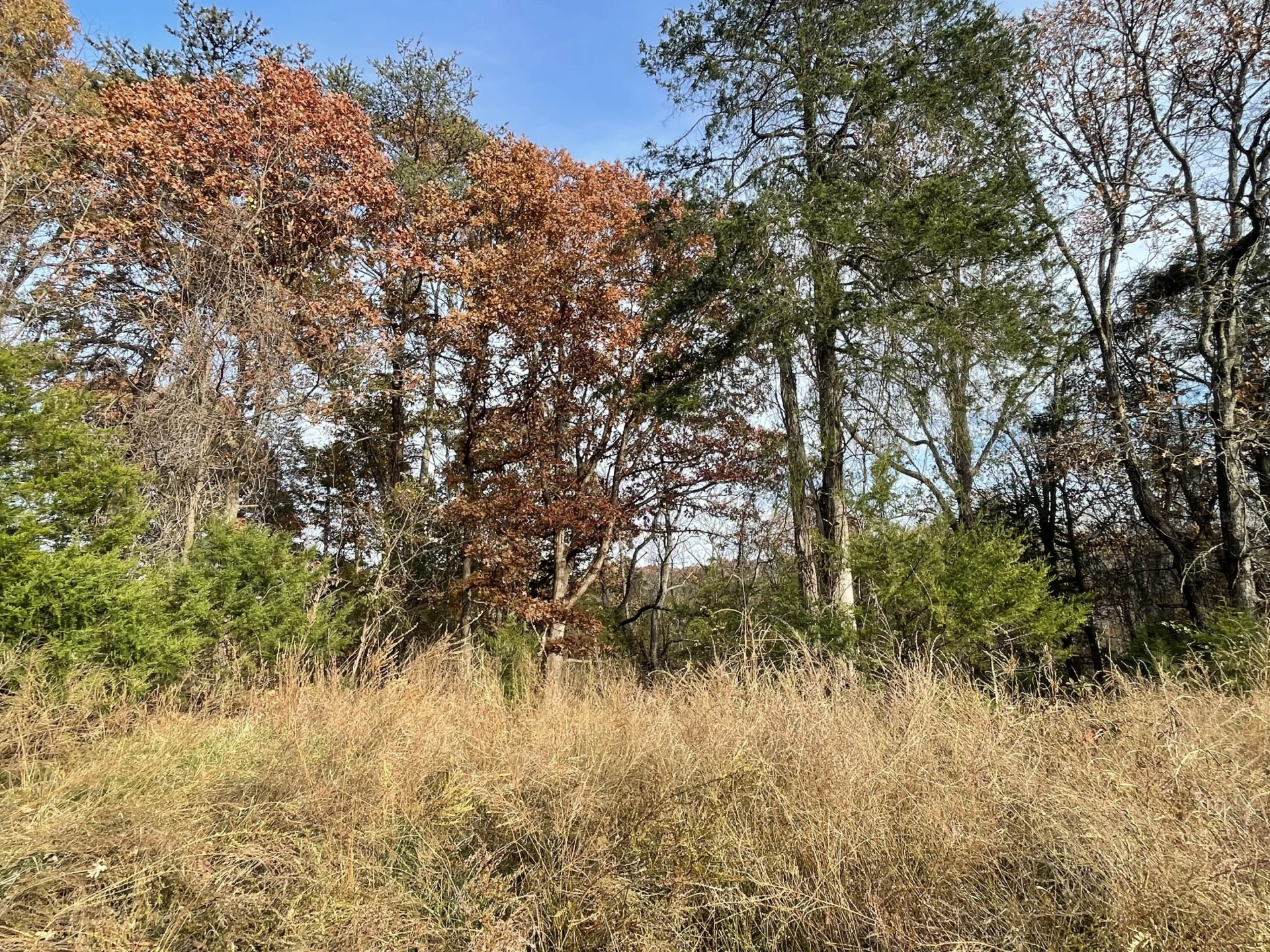 0 Five Forks RD - Photo 9