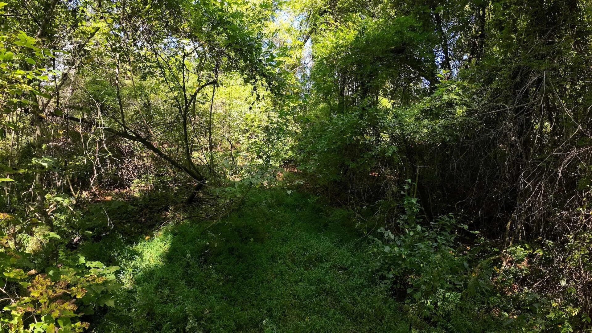 00 Walnut LN - Photo 11