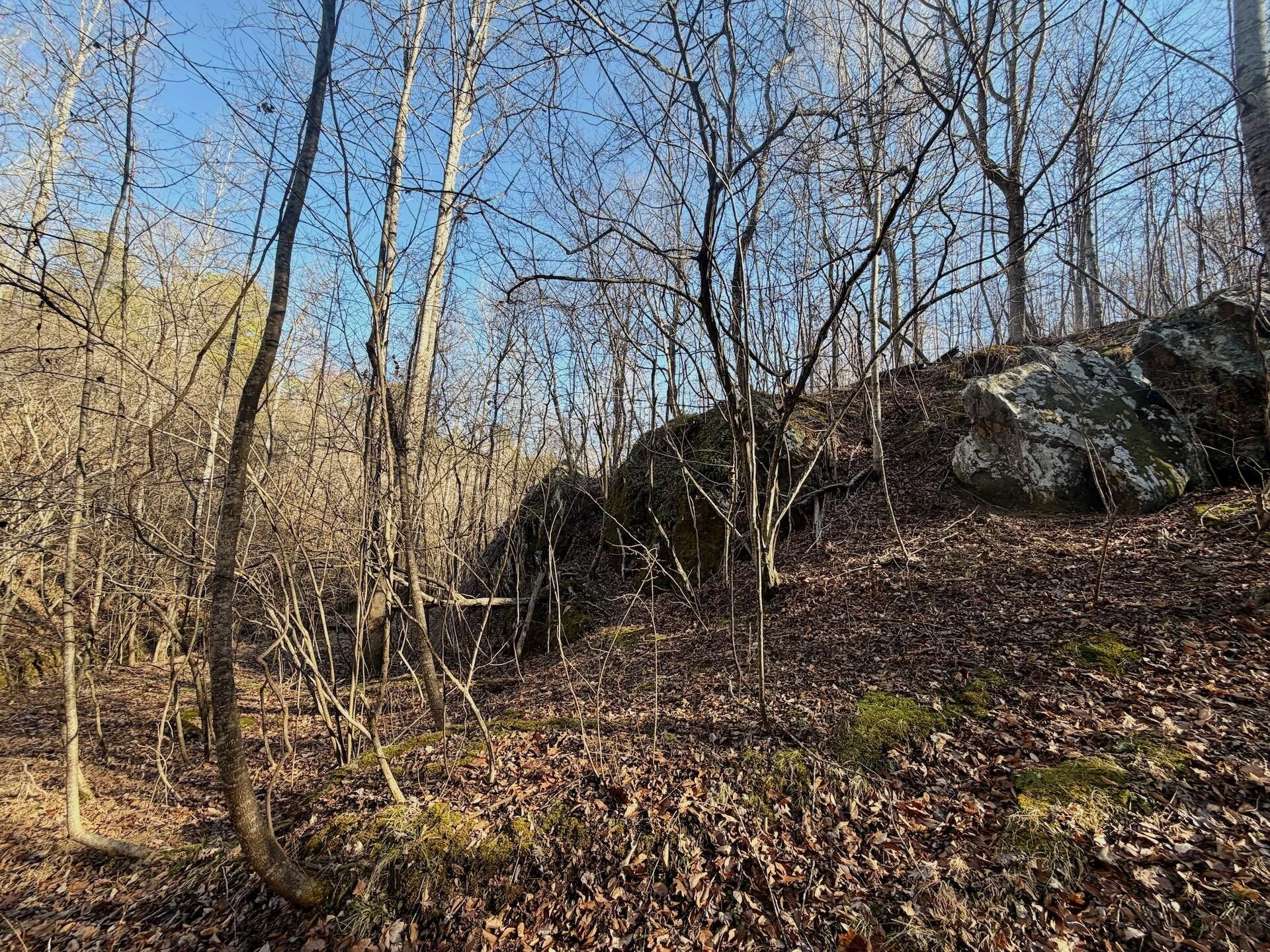 00 Walnut LN - Photo 12