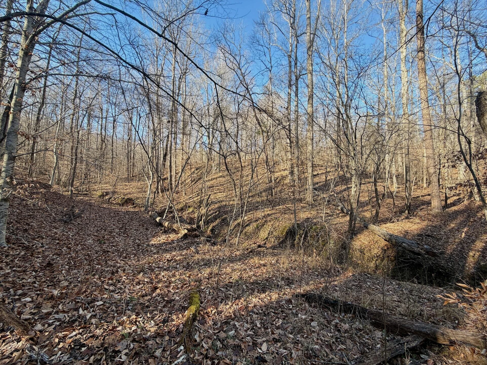 00 Walnut LN - Photo 13