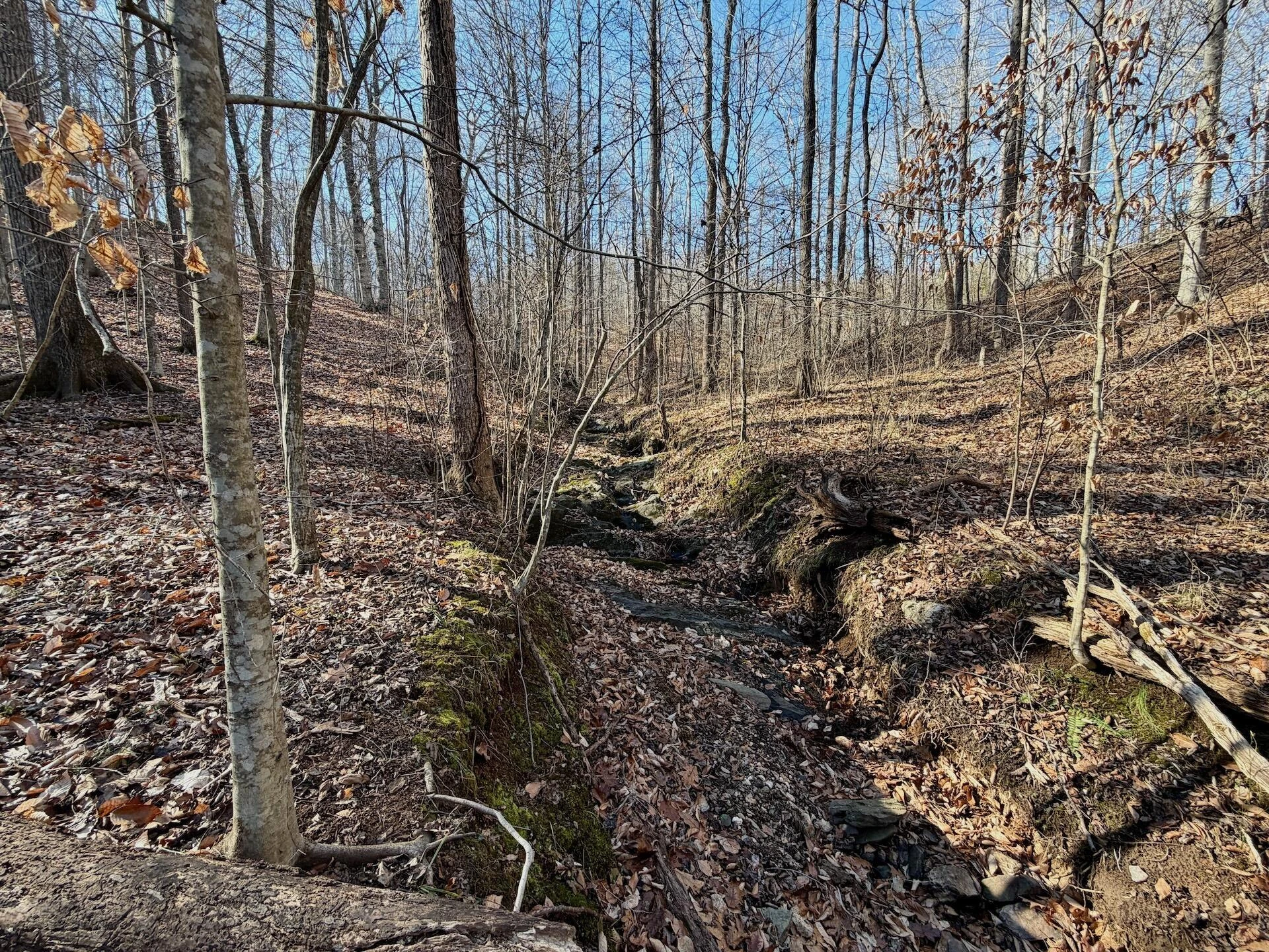 00 Walnut LN - Photo 14