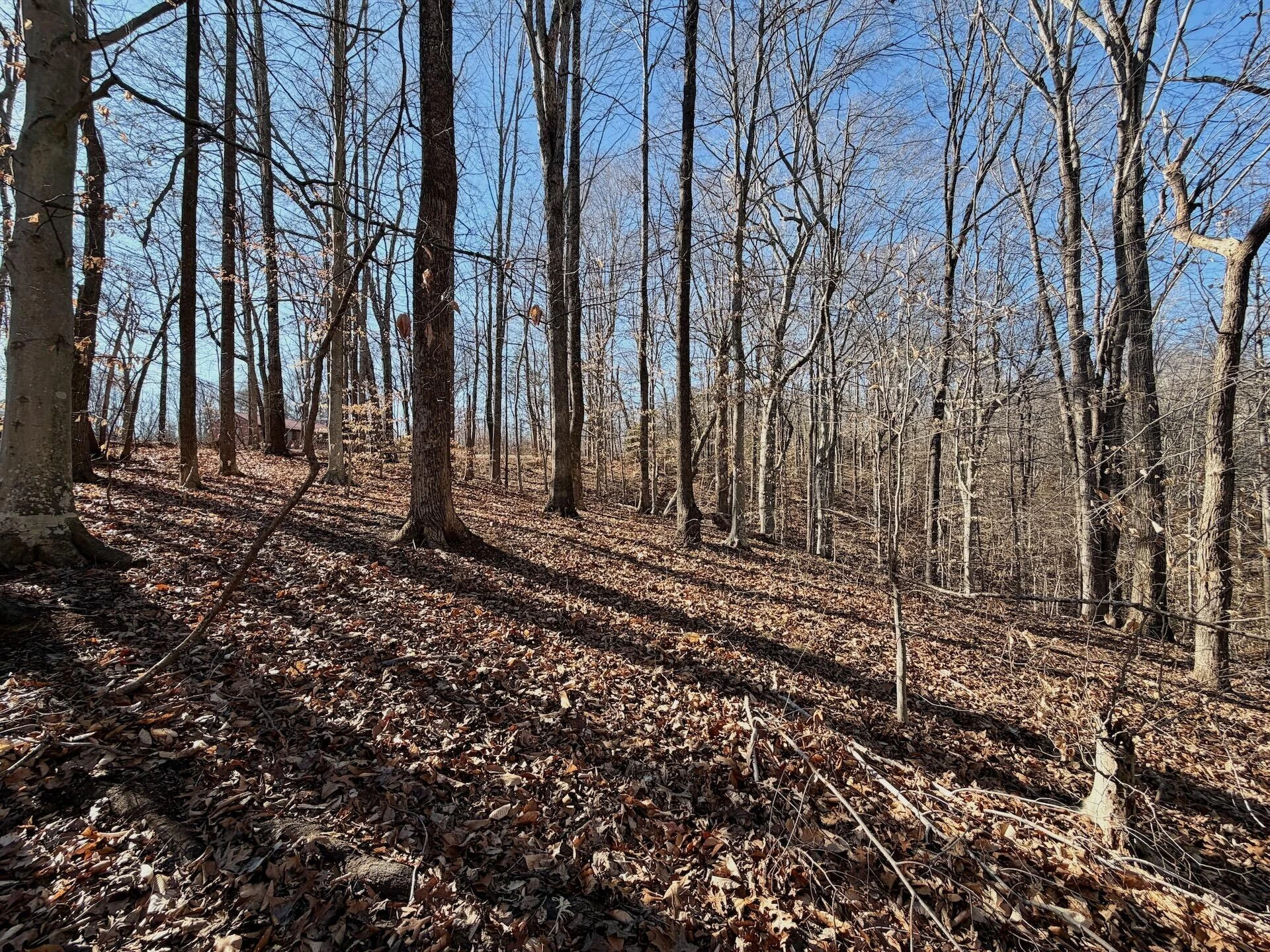 00 Walnut LN - Photo 15