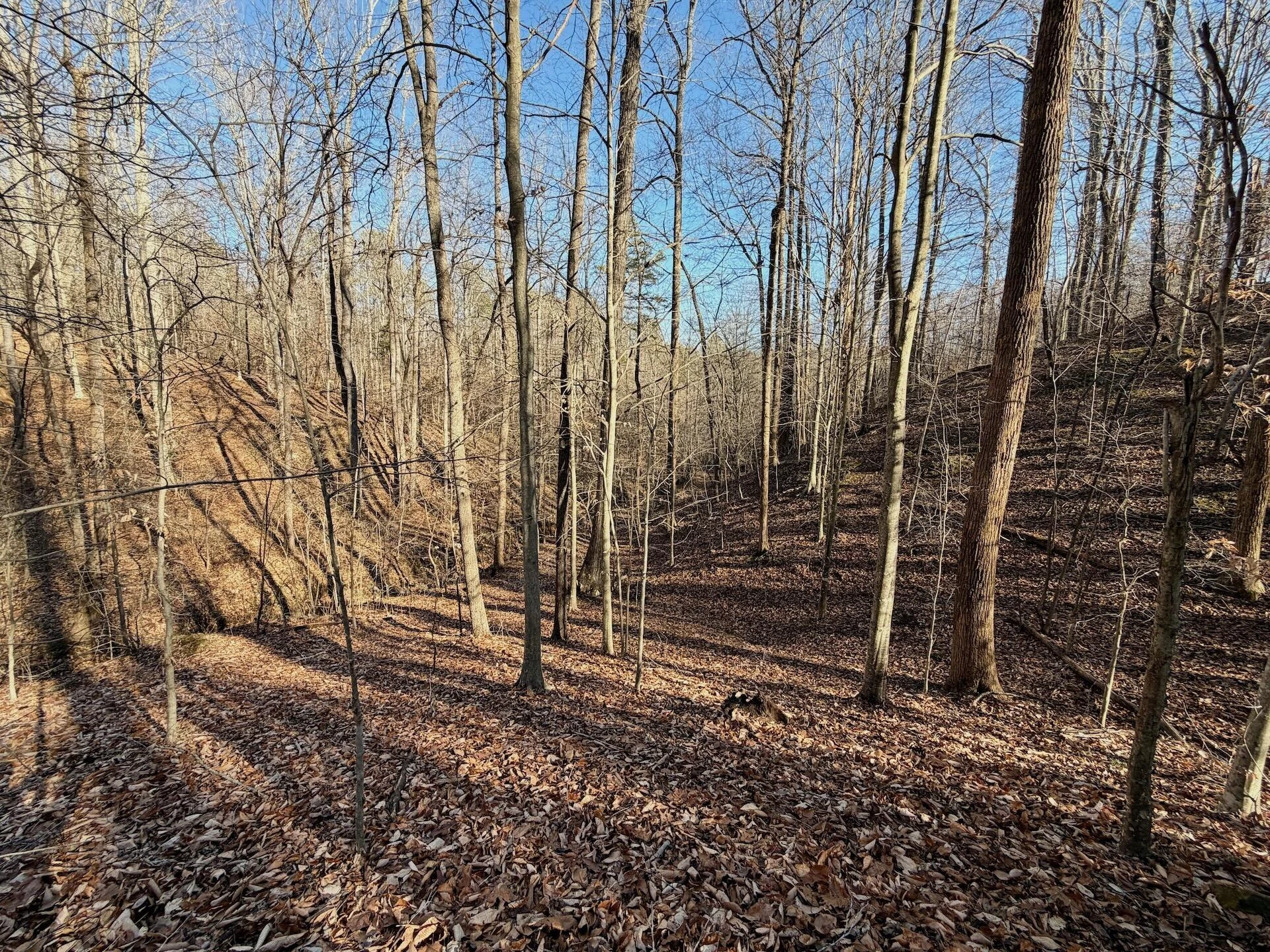 00 Walnut LN - Photo 17