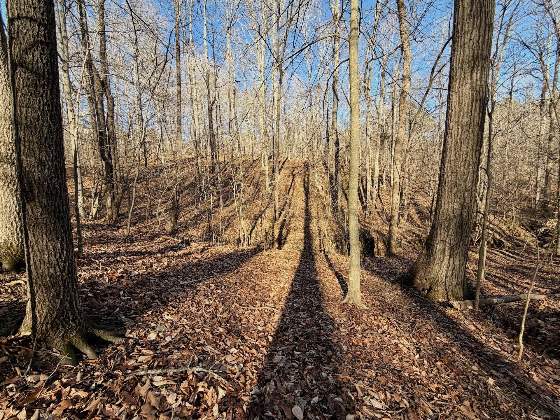 00 Walnut LN - Photo 18