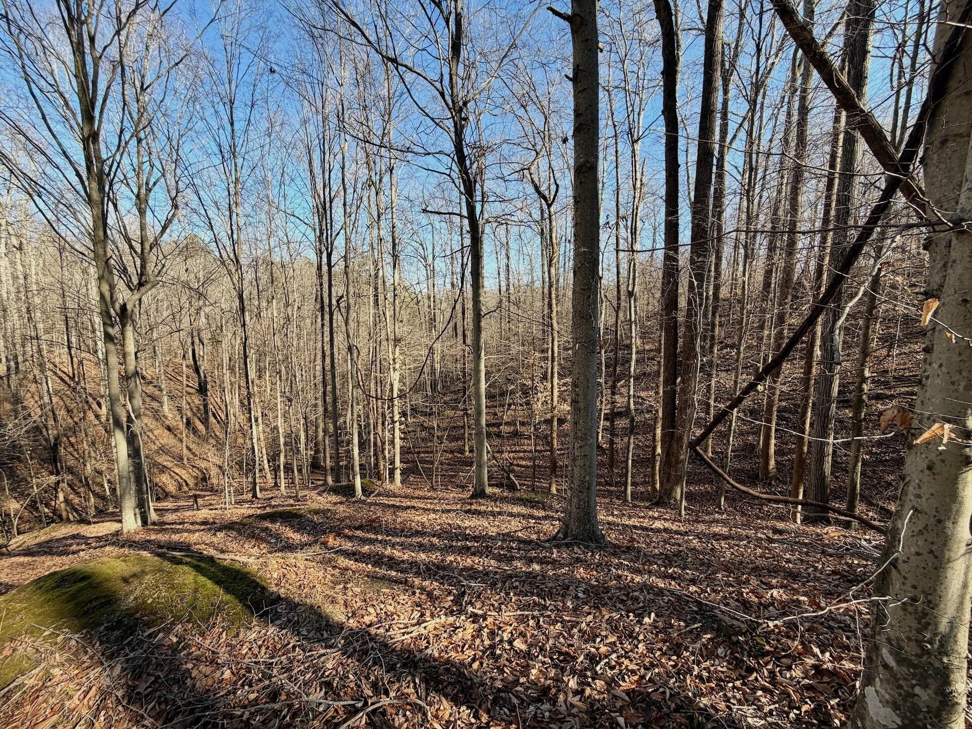 00 Walnut LN - Photo 19