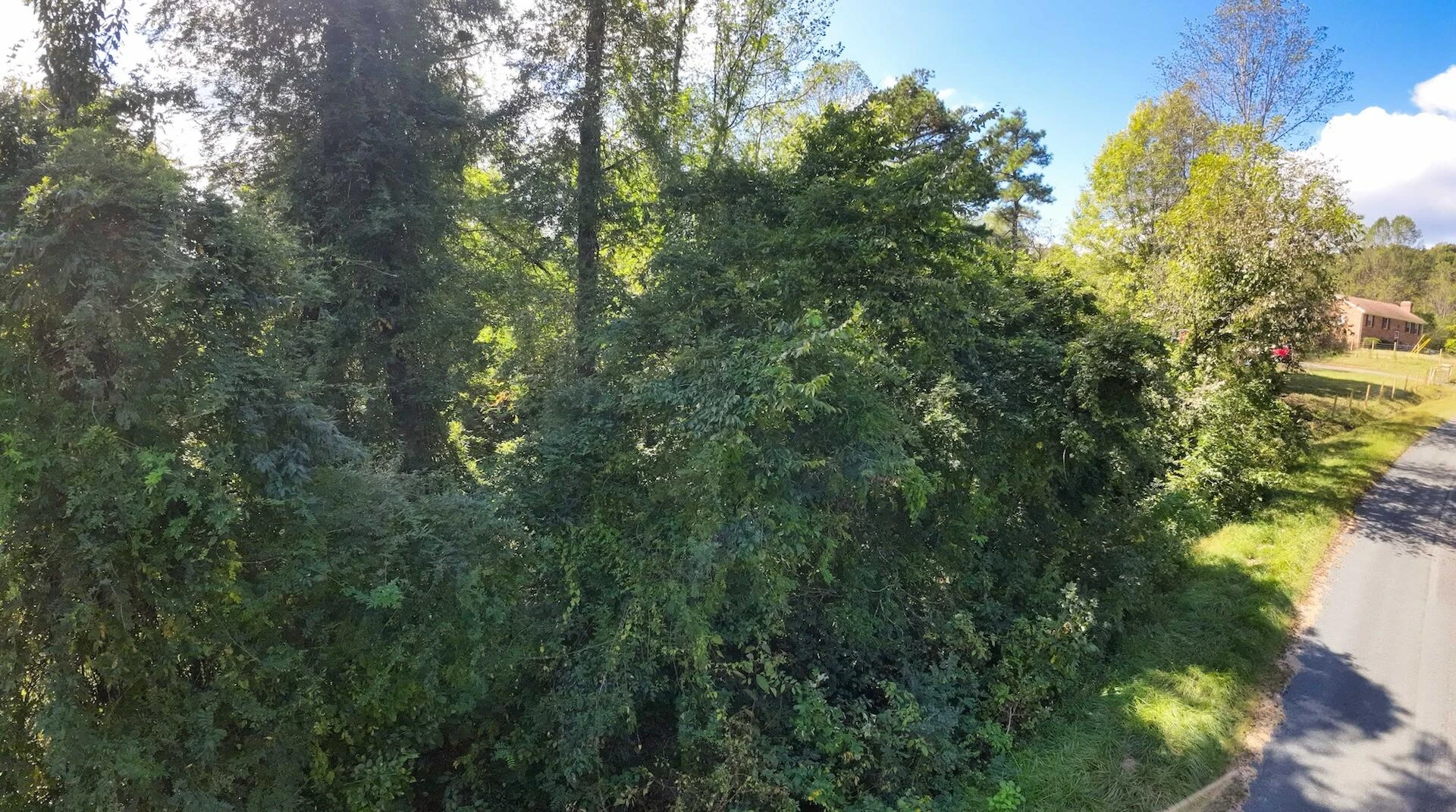 00 Walnut LN - Photo 21