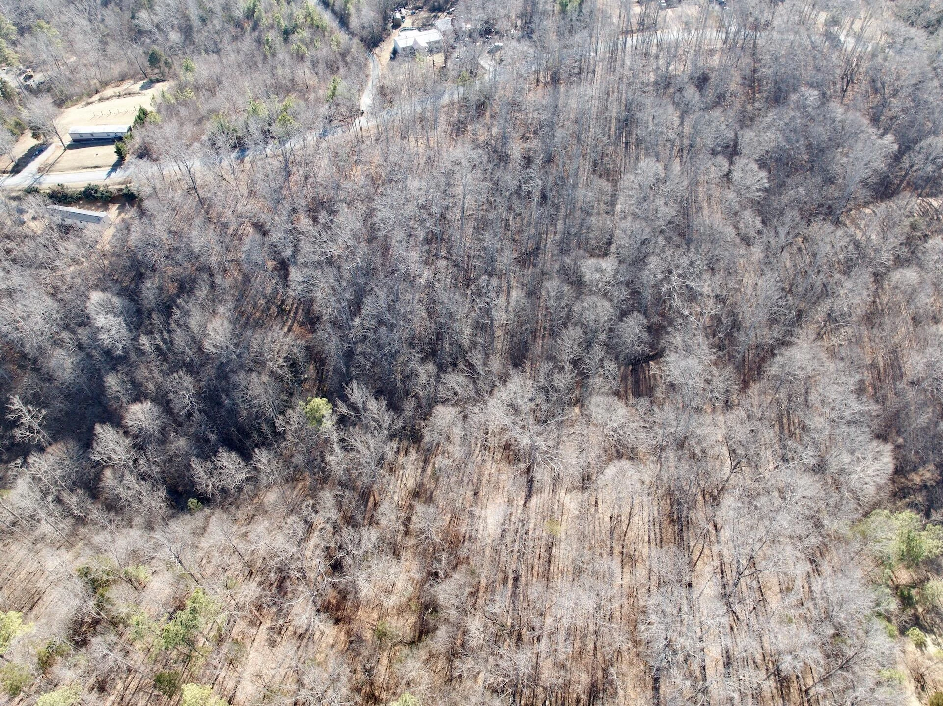 00 Walnut LN - Photo 24