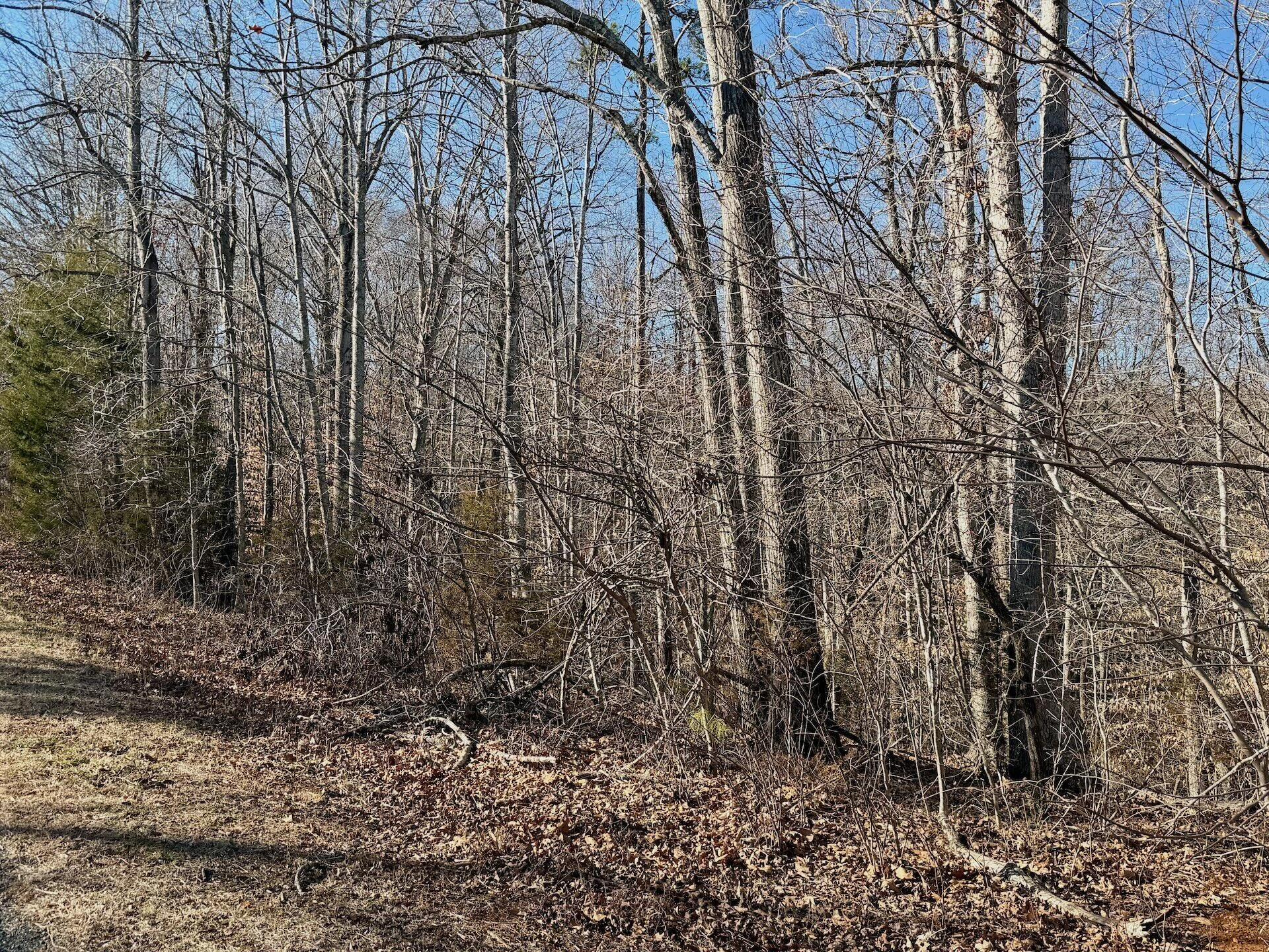 00 Walnut LN - Photo 28