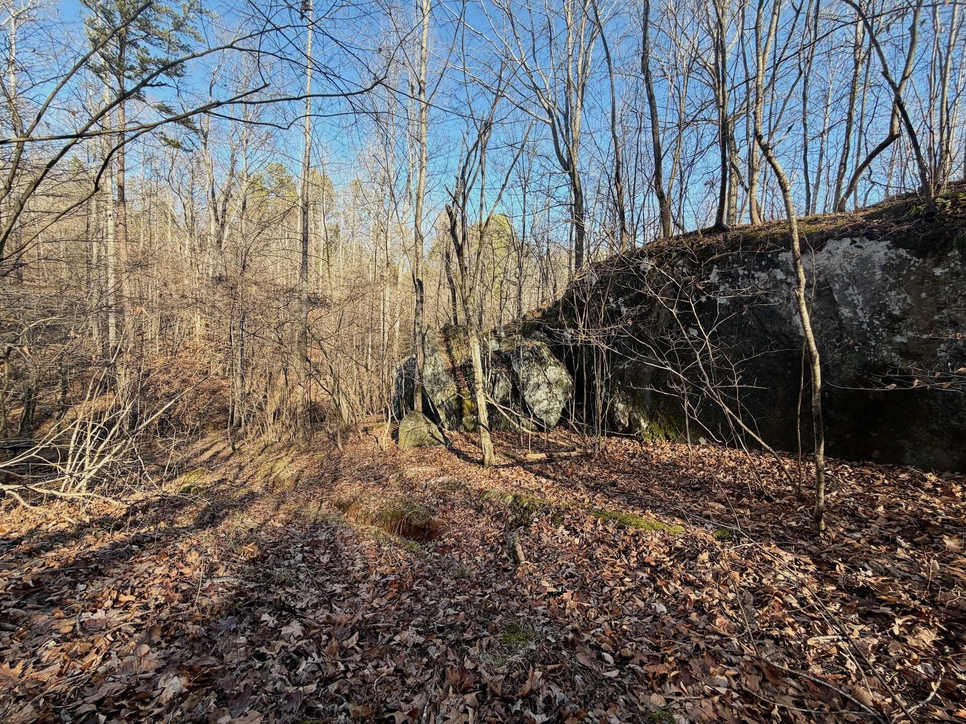 00 Walnut LN - Photo 29