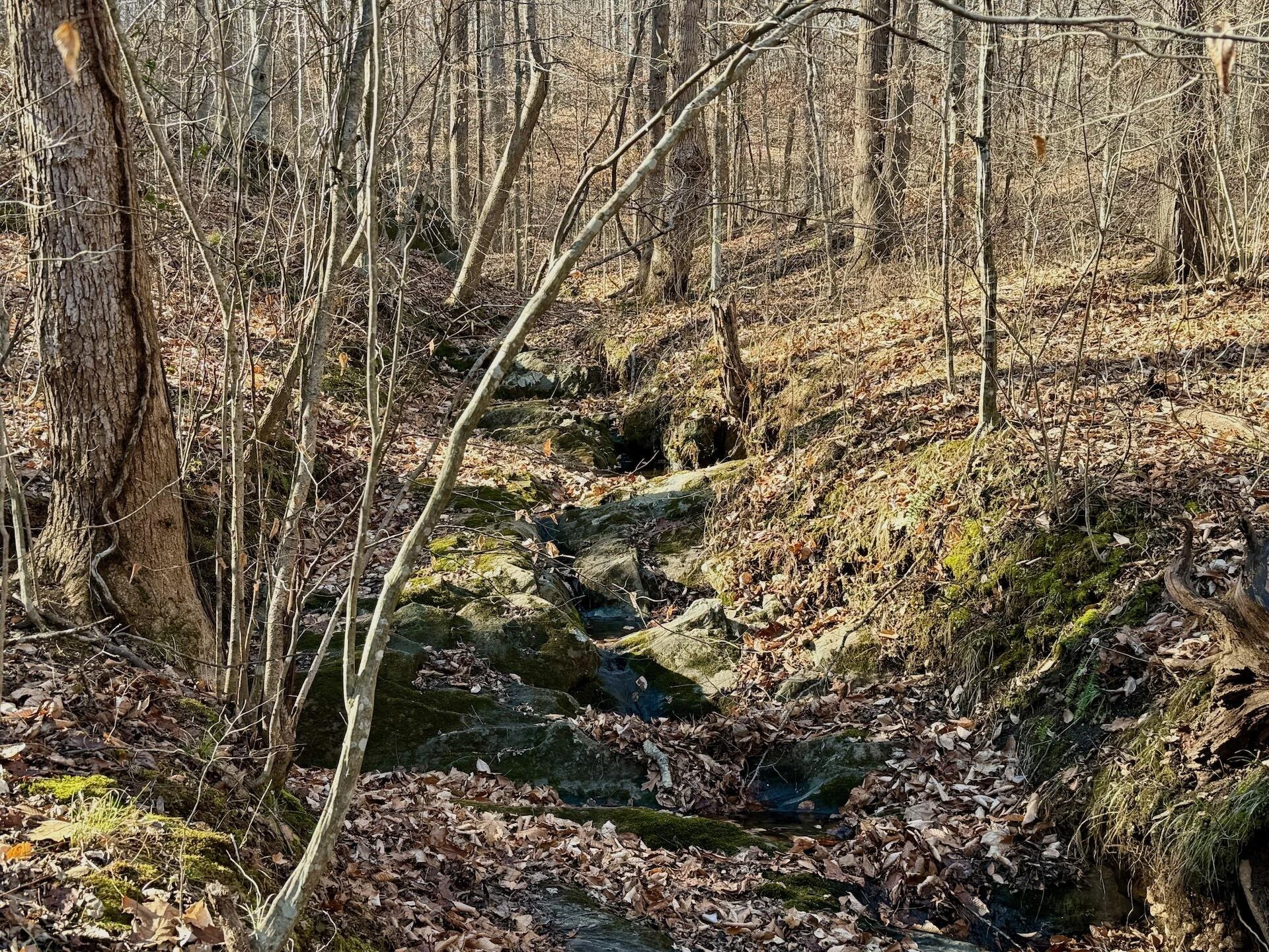 00 Walnut LN - Photo 3