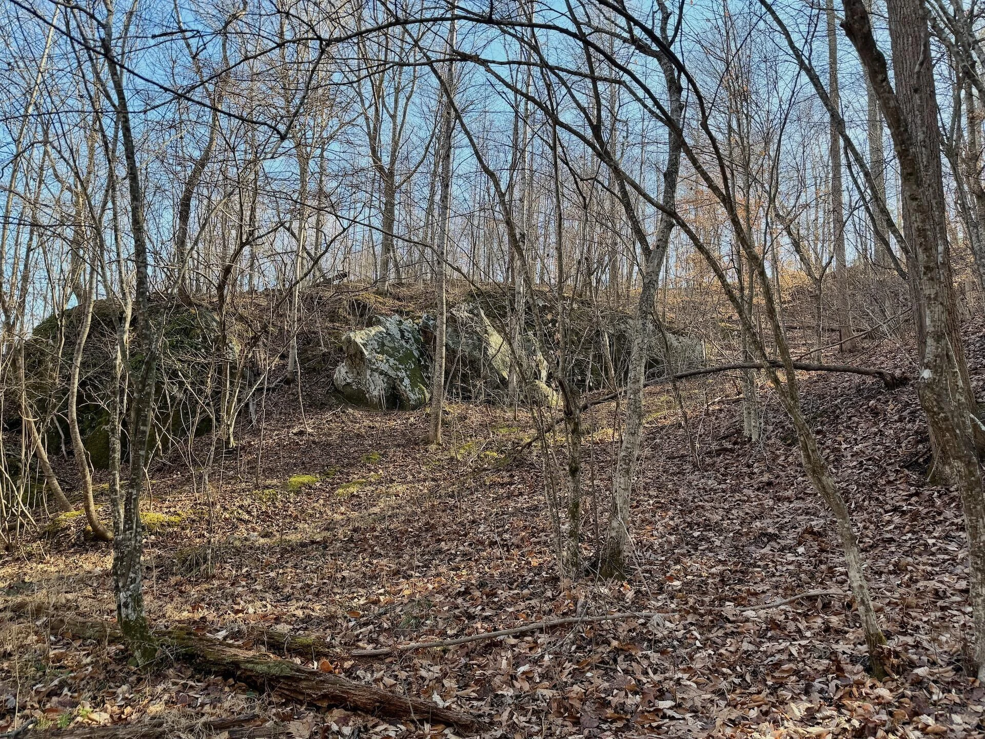 00 Walnut LN - Photo 30