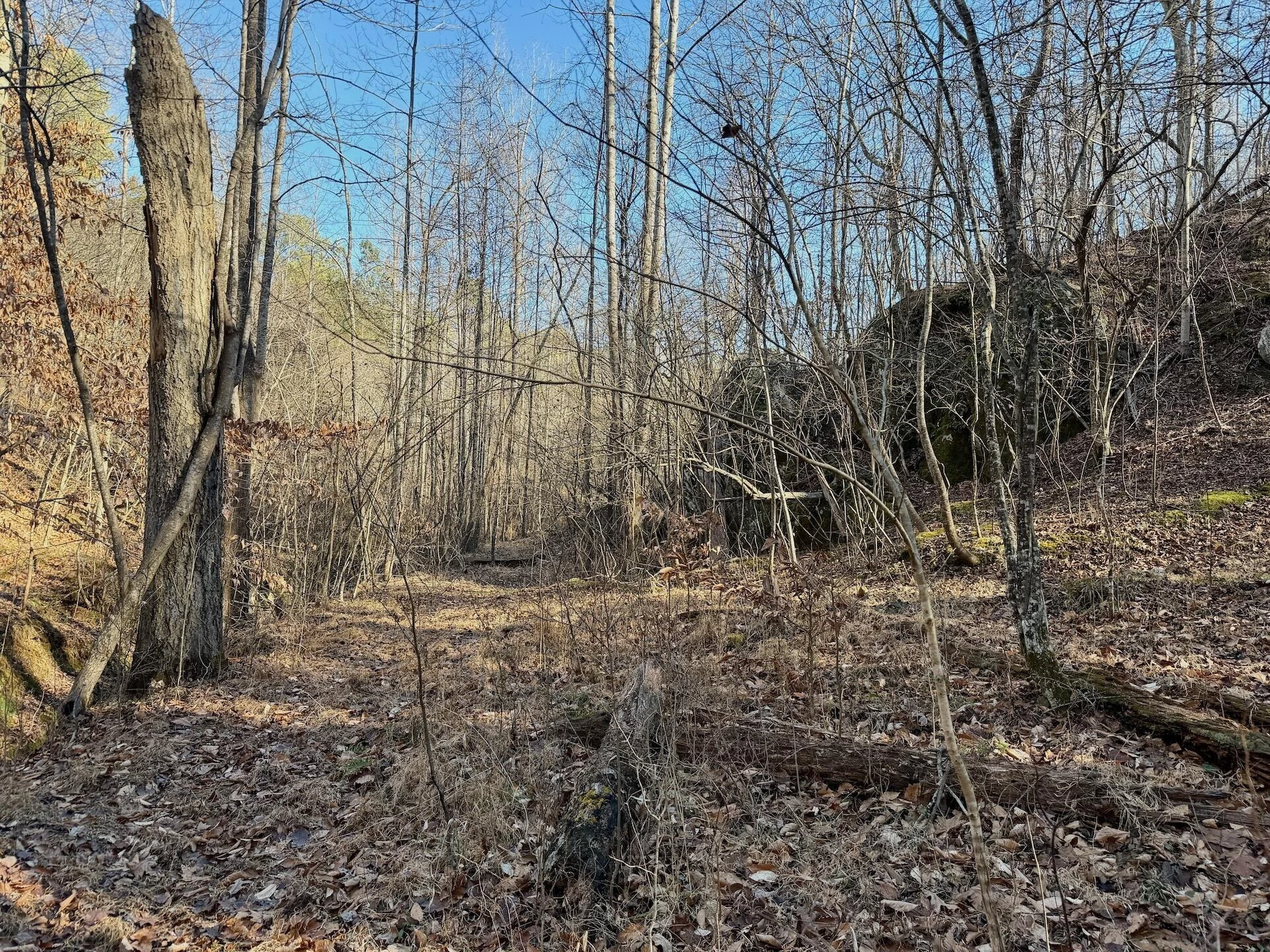 00 Walnut LN - Photo 31