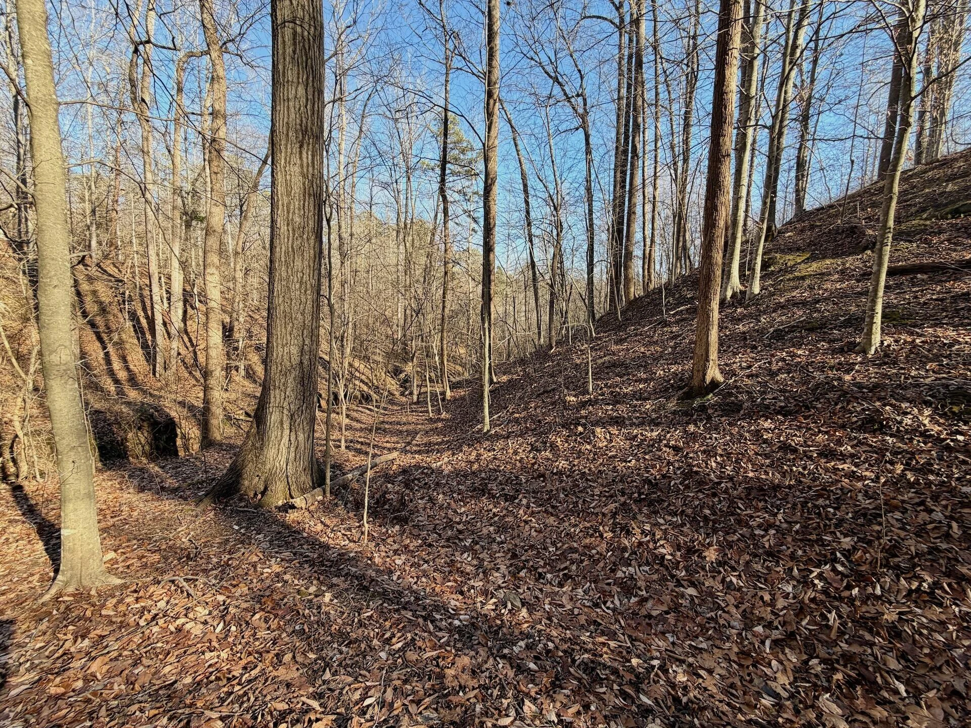 00 Walnut LN - Photo 33