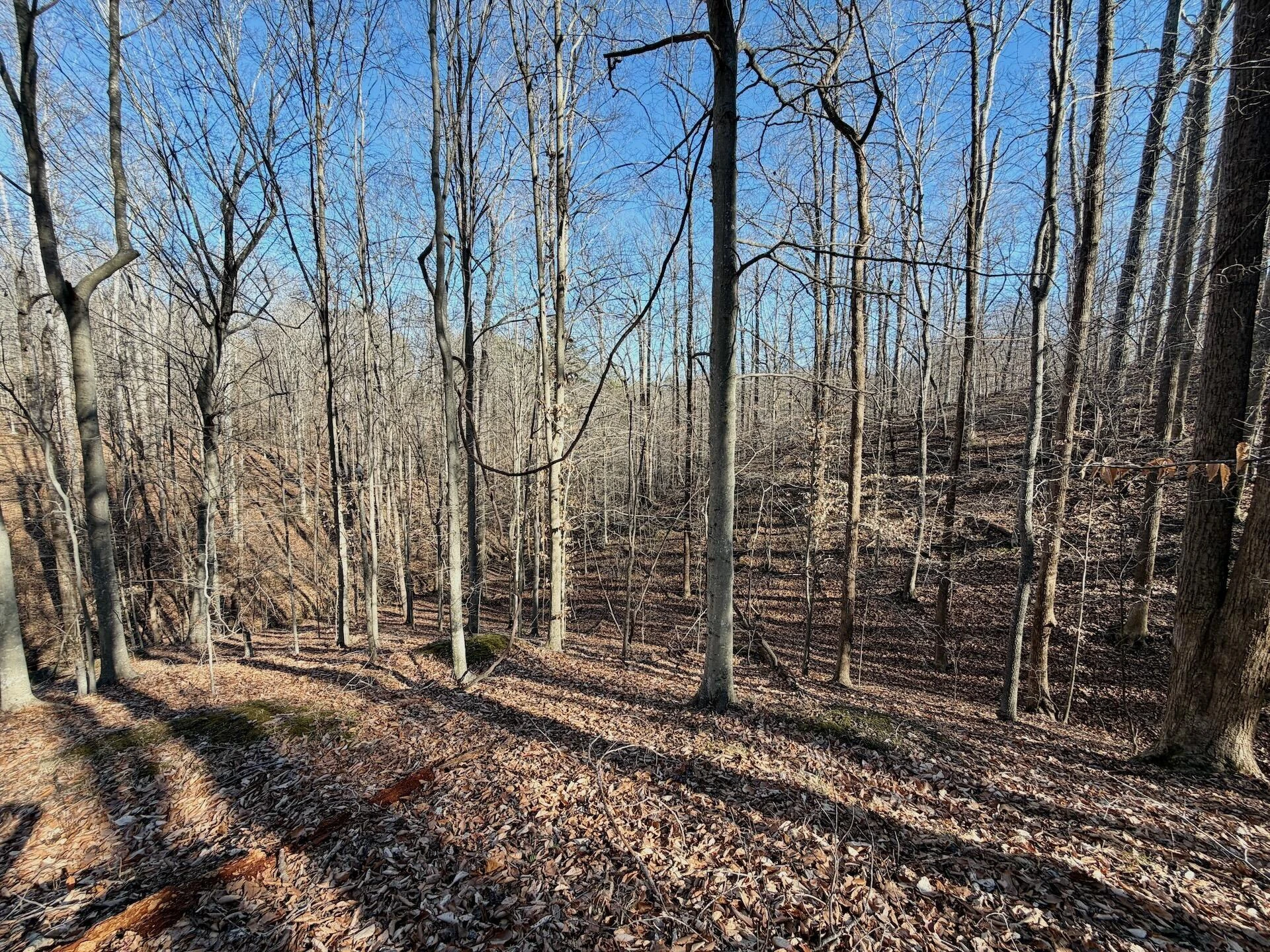 00 Walnut LN - Photo 34