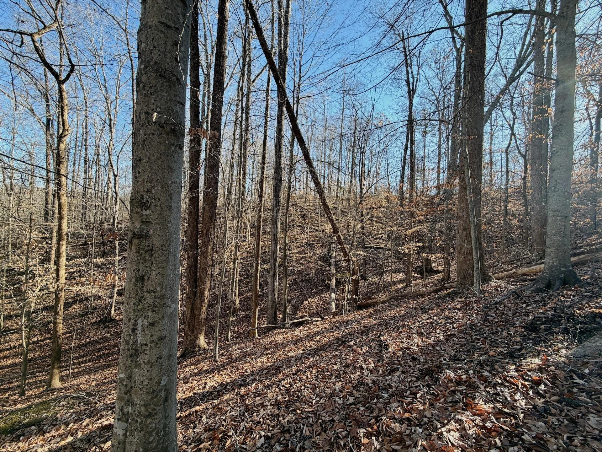 00 Walnut LN - Photo 35