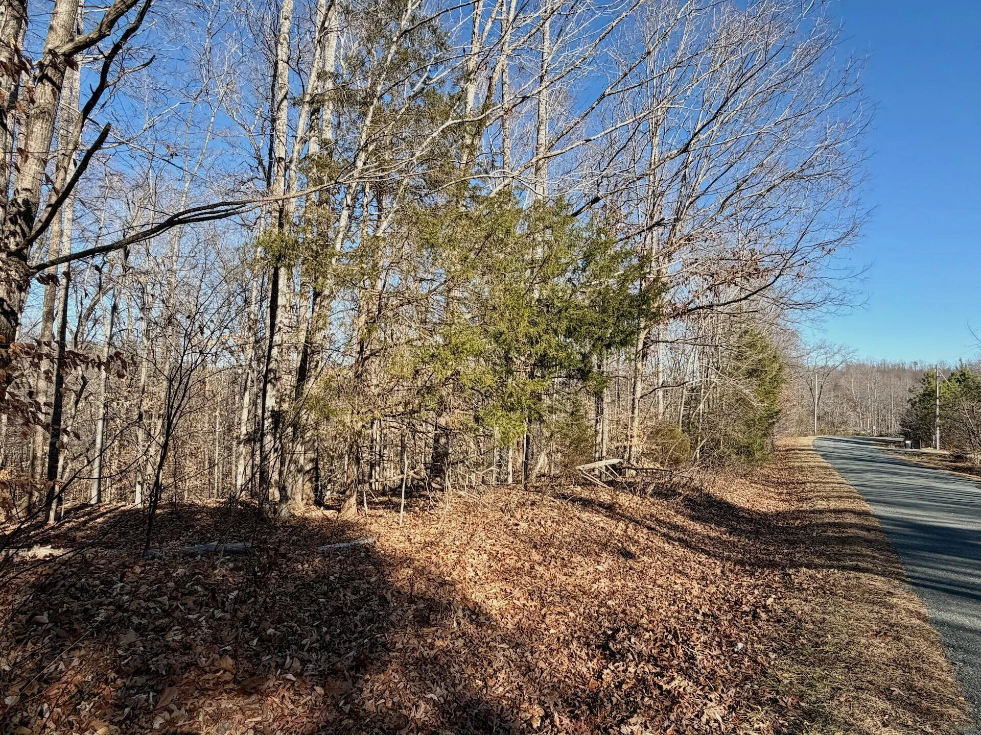 00 Walnut LN - Photo 5