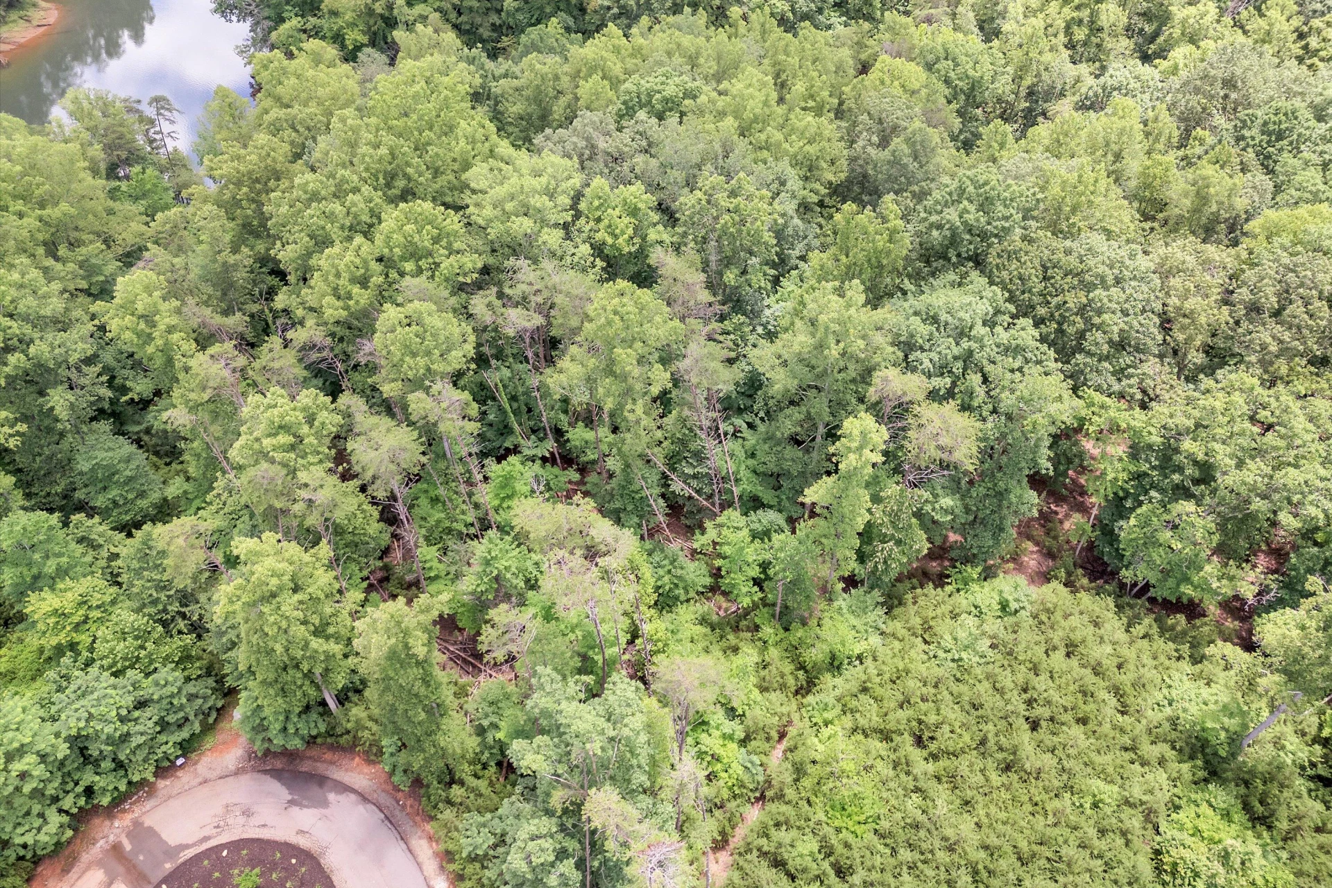 Lot 171 Talon Ridge CT - Photo 11