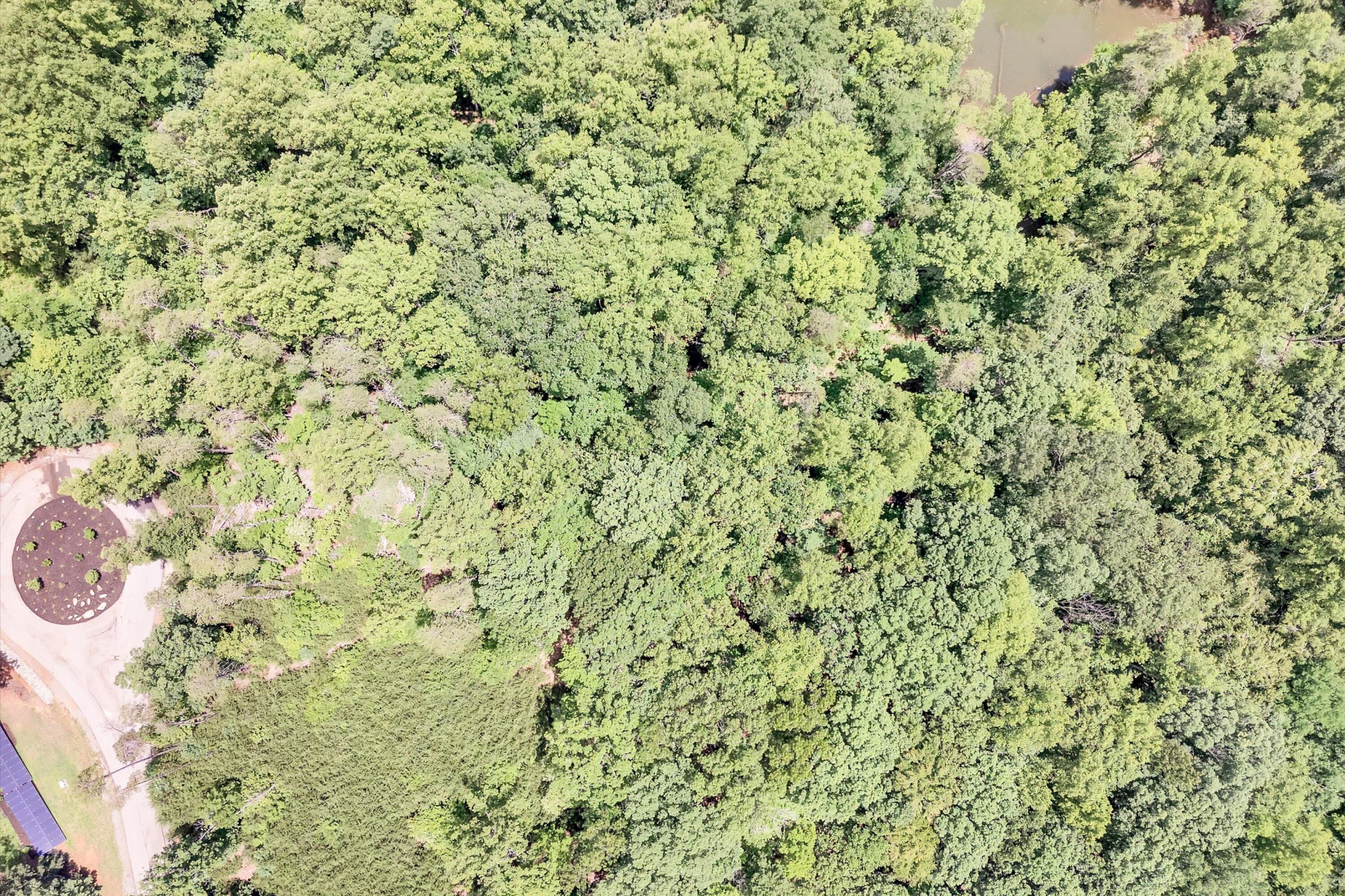 Lot 171 Talon Ridge CT - Photo 21
