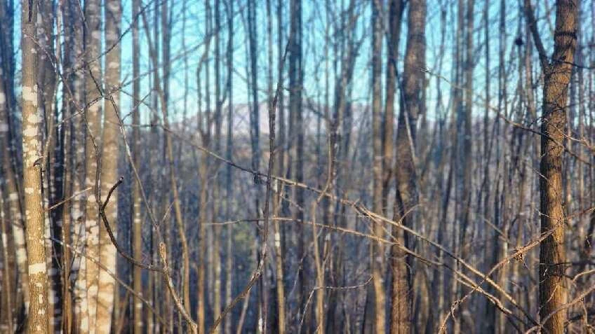 0 Jackrabbit LN - Photo 20