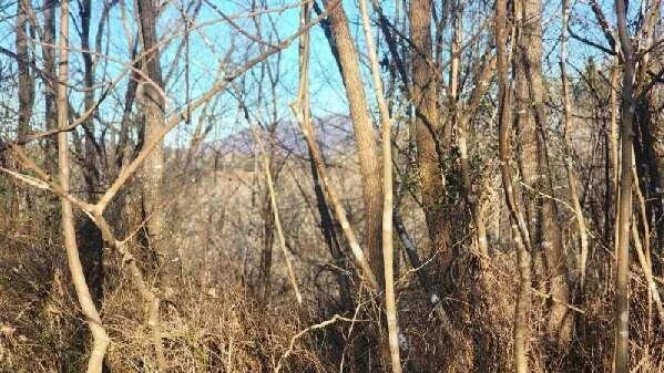 0 Jackrabbit LN - Photo 21