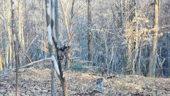 0 Jackrabbit LN - Photo 22